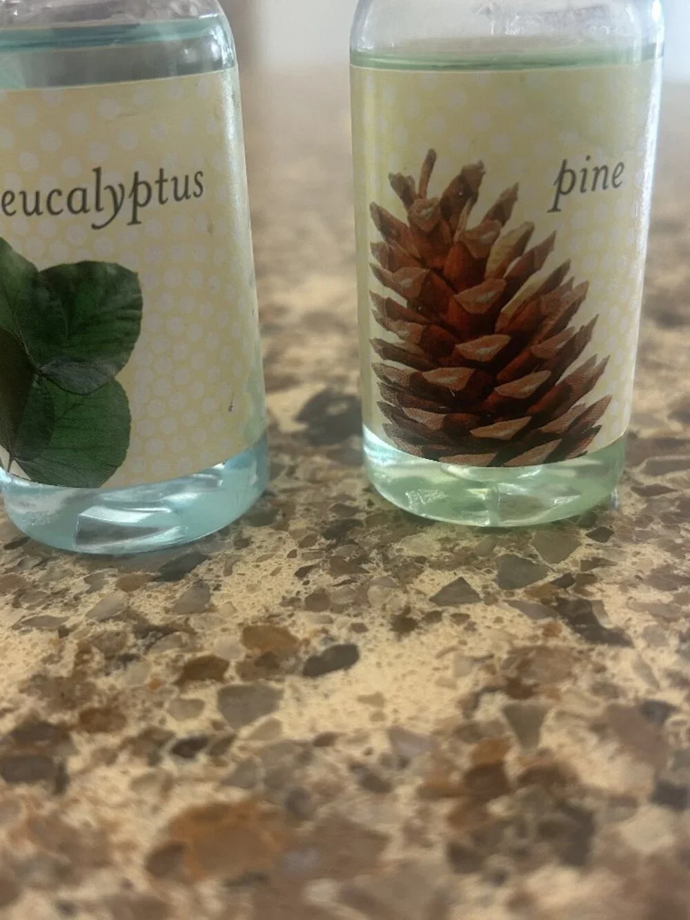 Set of Two Essential Oils - Eucalyptus and Pine scent.